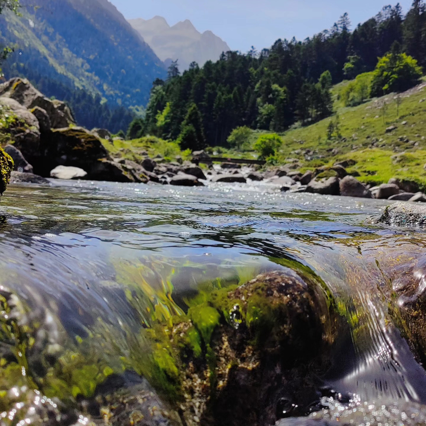 Torrent de montagne traversant une vallée verdoyante des Hautes-Pyrénées.