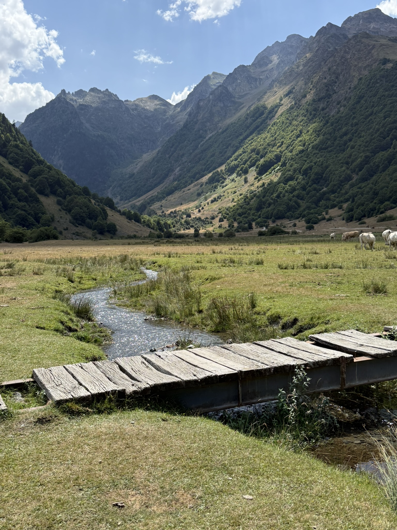Vallée du lac d'Estaing dans les Hautes-Pyrénées traversée par un ruisseau, avec passerelle en bois et sommets en arrière-plan.