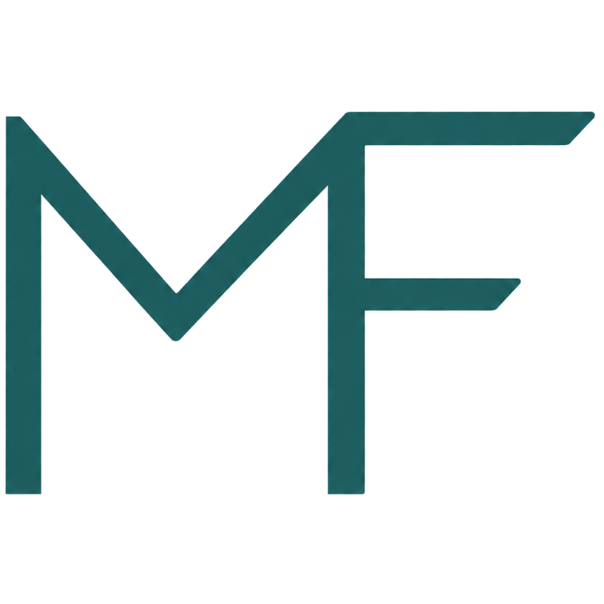 Logo de Mathieu Ferry EI